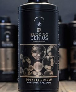 Budding Genius - Phytogrow