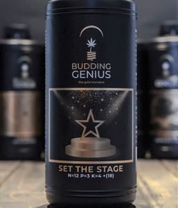 Budding Genius - Set the Stage