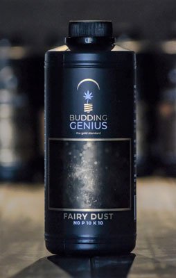Budding Genius - Fairy Dust
